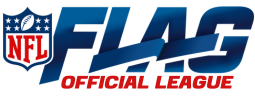 Neighborhood Sports Flag logo